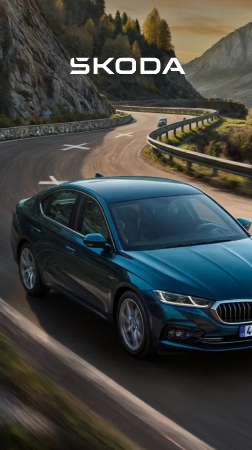 <p>Award-winning websites for Škoda Auto and their official car dealers.&nbsp;</p>