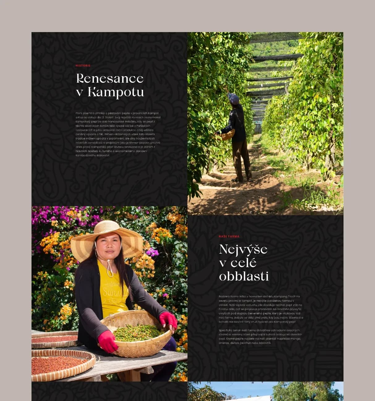 Branding for
the most exclusive
pepper on Earth